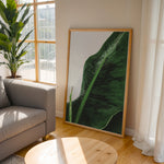 Ladda upp bild till gallerivisning, Plante plakat | Unik print der tilføjer karakter | Plakat med grønne planter, botanisk kunst og naturplanter, ideel til at tilføje et organisk og livligt præg til dit hjem.
