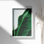 Ladda upp bild till gallerivisning, Plante plakat | Unik print der tilføjer karakter | Plakat med grønne planter, botanisk kunst og naturplanter, ideel til at tilføje et organisk og livligt præg til dit hjem.
