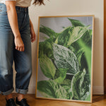 Ladda upp bild till gallerivisning, Plante print | Smuk plakat med frodige motiver | Plakat med grønne planter, botanisk kunst og naturplanter, ideel til at tilføje et organisk og livligt præg til dit hjem.
