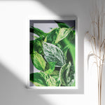 Ladda upp bild till gallerivisning, Plante print | Smuk plakat med frodige motiver | Plakat med grønne planter, botanisk kunst og naturplanter, ideel til at tilføje et organisk og livligt præg til dit hjem.
