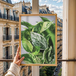 Ladda upp bild till gallerivisning, Plante print | Smuk plakat med frodige motiver | Plakat med grønne planter, botanisk kunst og naturplanter, ideel til at tilføje et organisk og livligt præg til dit hjem.
