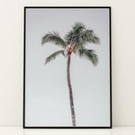 Ladda upp bild till gallerivisning, Plakat med palmetræ | Sommer og Strand Plakater | Denne plakat viser et højt palmetræ med en krone af grønne blade mod en klar, lys himmel. Perfekt til dem, der elsker tropiske vibes.
