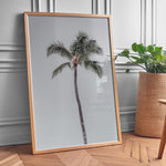 Ladda upp bild till gallerivisning, Plakat med palmetræ | Sommer og Strand Plakater | Denne plakat viser et højt palmetræ med en krone af grønne blade mod en klar, lys himmel. Perfekt til dem, der elsker tropiske vibes.
