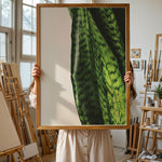 Ladda upp bild till gallerivisning, Plante plakat | Naturligt print med en moderne vinkel | Plakat med grønne planter, botanisk kunst og naturplanter, ideel til at tilføje et organisk og livligt præg til dit hjem.
