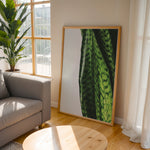 Ladda upp bild till gallerivisning, Plante plakat | Naturligt print med en moderne vinkel | Plakat med grønne planter, botanisk kunst og naturplanter, ideel til at tilføje et organisk og livligt præg til dit hjem.
