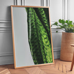 Ladda upp bild till gallerivisning, Plante plakat | Naturligt print med en moderne vinkel | Plakat med grønne planter, botanisk kunst og naturplanter, ideel til at tilføje et organisk og livligt præg til dit hjem.
