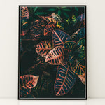 Ladda upp bild till gallerivisning, Plante print | Elegant plakat der fanger øjet | Plakat med grønne planter, botanisk kunst og naturplanter, ideel til at tilføje et organisk og livligt præg til dit hjem.
