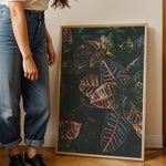 Ladda upp bild till gallerivisning, Plante print | Elegant plakat der fanger øjet | Plakat med grønne planter, botanisk kunst og naturplanter, ideel til at tilføje et organisk og livligt præg til dit hjem.
