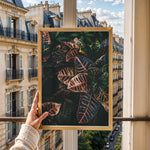 Ladda upp bild till gallerivisning, Plante print | Elegant plakat der fanger øjet | Plakat med grønne planter, botanisk kunst og naturplanter, ideel til at tilføje et organisk og livligt præg til dit hjem.
