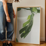 Ladda upp bild till gallerivisning, Plante plakat | Farverigt print der bringer liv til væggene | Plakat med grønne planter, botanisk kunst og naturplanter, ideel til at tilføje et organisk og livligt præg til dit hjem.
