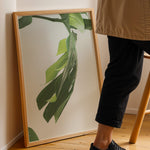 Ladda upp bild till gallerivisning, Plante plakat | Farverigt print der bringer liv til væggene | Plakat med grønne planter, botanisk kunst og naturplanter, ideel til at tilføje et organisk og livligt præg til dit hjem.
