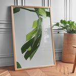 Ladda upp bild till gallerivisning, Plante plakat | Farverigt print der bringer liv til væggene | Plakat med grønne planter, botanisk kunst og naturplanter, ideel til at tilføje et organisk og livligt præg til dit hjem.
