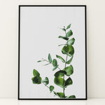 Ladda upp bild till gallerivisning, Plante print | Inspirerende plakat med skønne naturmotiver | Plakat med grønne planter, botanisk kunst og naturplanter, ideel til at tilføje et organisk og livligt præg til dit hjem.
