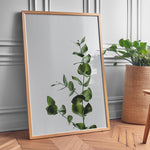 Ladda upp bild till gallerivisning, Plante print | Inspirerende plakat med skønne naturmotiver | Plakat med grønne planter, botanisk kunst og naturplanter, ideel til at tilføje et organisk og livligt præg til dit hjem.
