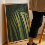 Ladda upp bild till gallerivisning, Plante print | Smuk plakat med unikke bladdesigns | Plakat med grønne planter, botanisk kunst og naturplanter, ideel til at tilføje et organisk og livligt præg til dit hjem.
