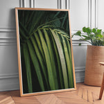 Ladda upp bild till gallerivisning, Plante print | Smuk plakat med unikke bladdesigns | Plakat med grønne planter, botanisk kunst og naturplanter, ideel til at tilføje et organisk og livligt præg til dit hjem.

