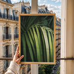 Ladda upp bild till gallerivisning, Plante print | Smuk plakat med unikke bladdesigns | Plakat med grønne planter, botanisk kunst og naturplanter, ideel til at tilføje et organisk og livligt præg til dit hjem.
