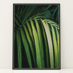 Ladda upp bild till gallerivisning, Plante print | Smuk plakat med unikke bladdesigns | Plakat med grønne planter, botanisk kunst og naturplanter, ideel til at tilføje et organisk og livligt præg til dit hjem.
