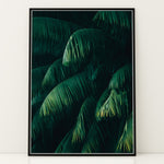 Ladda upp bild till gallerivisning, Plante plakat | Frodigt print der lyser op i hjemmet | Plakat med grønne planter, botanisk kunst og naturplanter, ideel til at tilføje et organisk og livligt præg til dit hjem.
