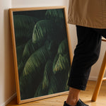 Ladda upp bild till gallerivisning, Plante plakat | Frodigt print der lyser op i hjemmet | Plakat med grønne planter, botanisk kunst og naturplanter, ideel til at tilføje et organisk og livligt præg til dit hjem.
