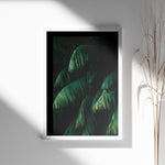 Ladda upp bild till gallerivisning, Plante plakat | Frodigt print der lyser op i hjemmet | Plakat med grønne planter, botanisk kunst og naturplanter, ideel til at tilføje et organisk og livligt præg til dit hjem.
