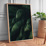 Ladda upp bild till gallerivisning, Plante plakat | Frodigt print der lyser op i hjemmet | Plakat med grønne planter, botanisk kunst og naturplanter, ideel til at tilføje et organisk og livligt præg til dit hjem.
