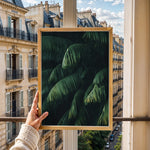 Ladda upp bild till gallerivisning, Plante plakat | Frodigt print der lyser op i hjemmet | Plakat med grønne planter, botanisk kunst og naturplanter, ideel til at tilføje et organisk og livligt præg til dit hjem.
