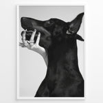 Ladda upp bild till gallerivisning, Fashion Plakat | Black and White Fashion Art Print – Dog with Hand Adorned in Rings Plakaty.dk | Black and white artistic photo of a black dog with a human hand wearing multiple rings gently placed on its jaw.
