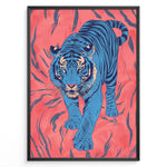 Ladda upp bild till gallerivisning, Japanske plakater | Modern pop art illustration of a blue tiger walking forward on a vivid coral-red background with black stripes, framed in black.
