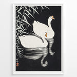 Ladda upp bild till gallerivisning, Framed Japanese Ukiyo-e style art poster showing two white swans gliding on dark water with bamboo leaves above.
