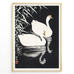 Ladda upp bild till gallerivisning, Framed Japanese Ukiyo-e style art poster showing two white swans gliding on dark water with bamboo leaves above.
