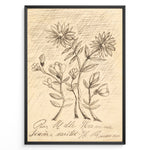 Ladda upp bild till gallerivisning, Framed vintage botanical sketch poster with hand-drawn flowers and cursive handwriting on an aged beige background.

