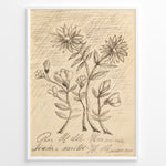 Ladda upp bild till gallerivisning, Framed vintage botanical sketch poster with hand-drawn flowers and cursive handwriting on an aged beige background.
