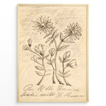 Ladda upp bild till gallerivisning, Framed vintage botanical sketch poster with hand-drawn flowers and cursive handwriting on an aged beige background.
