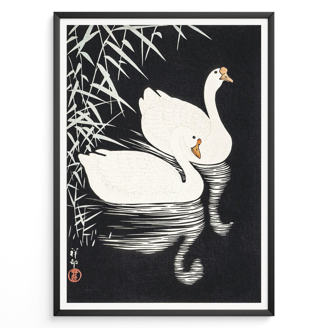 Japanese vintage art print of two white swans swimming among reeds on a dark background in a black frame.