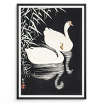 Ladda upp bild till gallerivisning, Japanese vintage art print of two white swans swimming among reeds on a dark background in a black frame.
