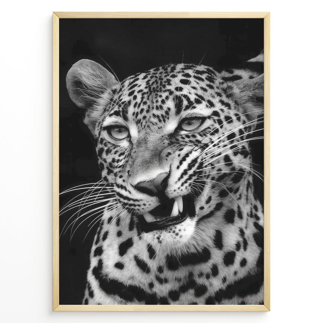 Fashion Plakat | Fierce Grace: Leopard in Black and White Plakaty.dk | Close-up black and white photo of a snarling leopard with intense eyes and sharp teeth