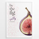 Ladda upp bild till gallerivisning, Figen plakat med botanisk illustration og engelsk samt arabisk typografi inspireret af Koranens frugter
