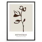 Ladda upp bild till gallerivisning, Framed minimalist botanical poster with dark brown hand-drawn plant on a beige background and the word “Botanique” written below.

