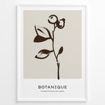 Ladda upp bild till gallerivisning, Framed minimalist botanical poster with dark brown hand-drawn plant on a beige background and the word “Botanique” written below.
