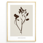 Ladda upp bild till gallerivisning, Framed Jardin Collection poster with minimalist brown floral line art on a beige background and white border.
