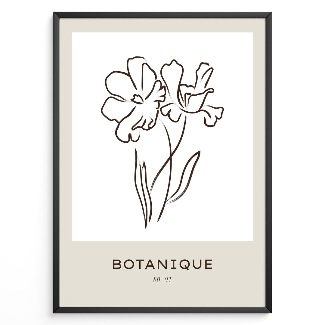Framed Botanique poster featuring minimalist floral line art of two flowers on a white and beige background.