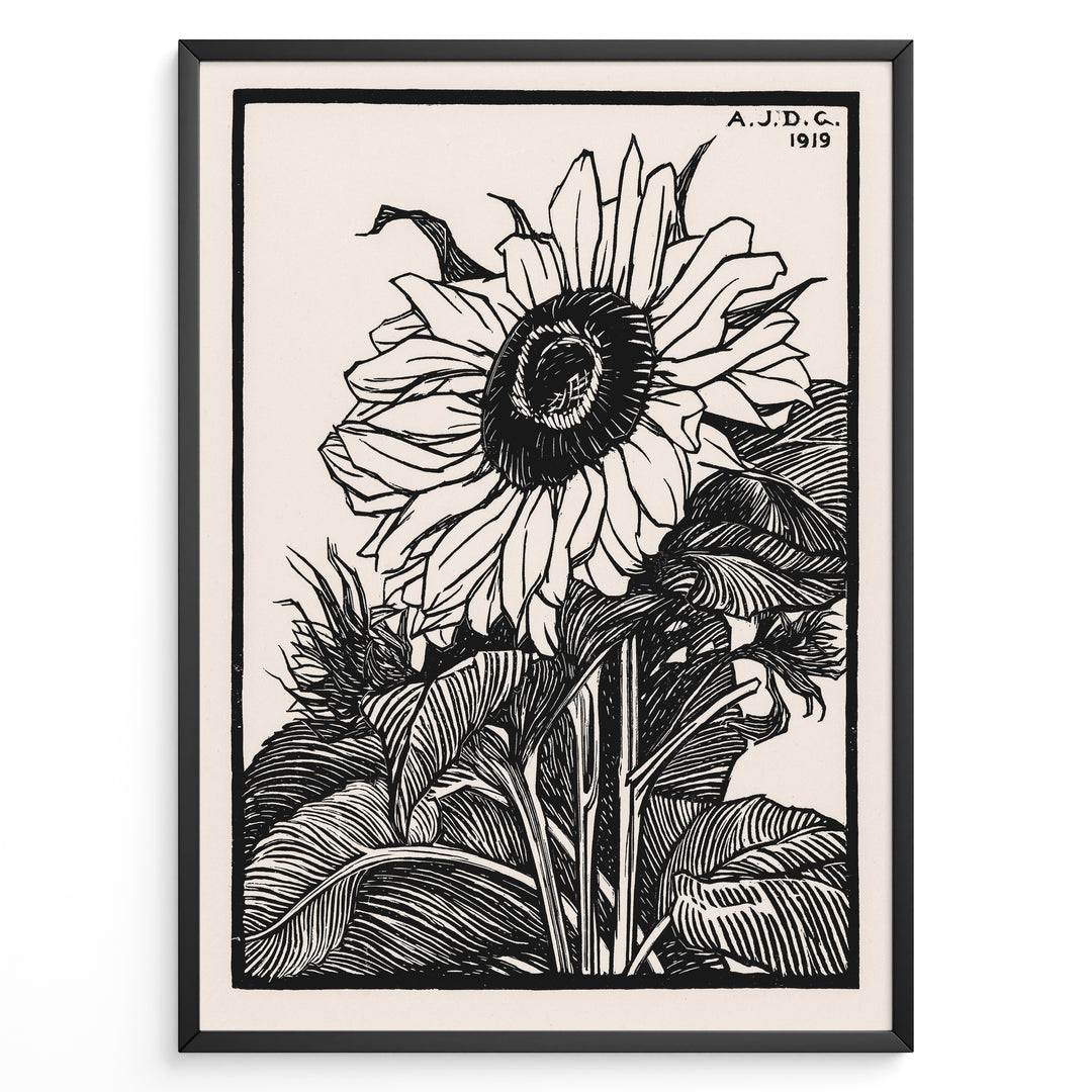 Framed vintage black and white sunflower botanical poster with intricate line art detailing and 1919 inscription.