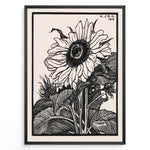 Ladda upp bild till gallerivisning, Framed vintage black and white sunflower botanical poster with intricate line art detailing and 1919 inscription.
