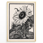 Ladda upp bild till gallerivisning, Framed vintage black and white sunflower botanical poster with intricate line art detailing and 1919 inscription.
