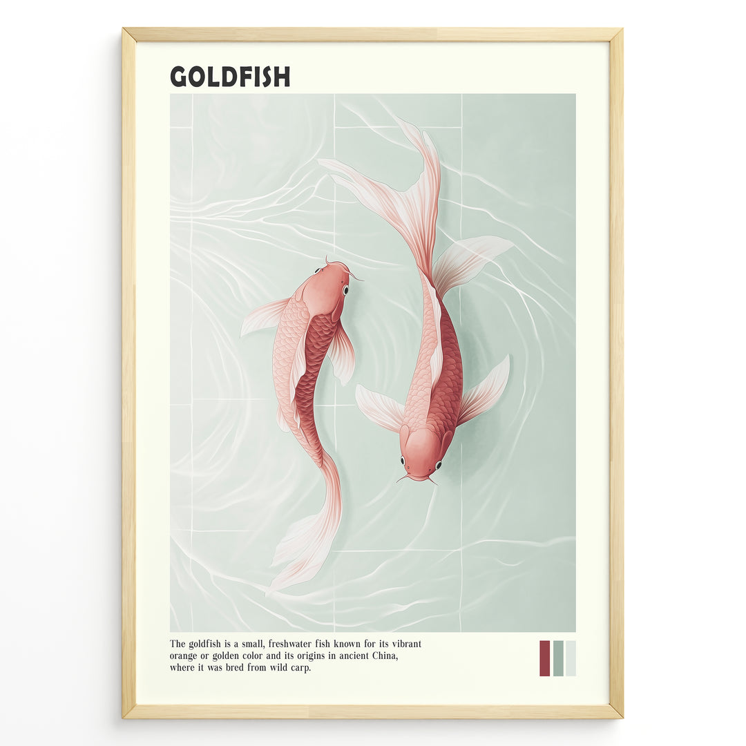 Plakater | Digital illustration of two pinkish-orange goldfish swimming in clear water with subtle wave patterns, framed in black with the title "GOLDFISH" and descriptive text below.