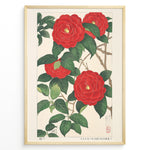 Ladda upp bild till gallerivisning, Japanske plakater |   Traditional Japanese botanical art print of red camellia flowers with green leaves in a black frame.
