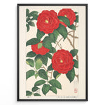 Ladda upp bild till gallerivisning, Japanske plakater |   Traditional Japanese botanical art print of red camellia flowers with green leaves in a black frame.
