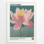 Ladda upp bild till gallerivisning, Plakater | Framed artistic illustration of a lotus flower with pink and cream petals on a teal background, accompanied by a description about its symbolism of purity, enlightenment, and spiritual growth.
