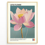 Ladda upp bild till gallerivisning, Plakater | Framed artistic illustration of a lotus flower with pink and cream petals on a teal background, accompanied by a description about its symbolism of purity, enlightenment, and spiritual growth.
